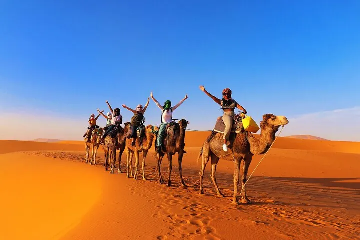 Travellers riding a line of camels across orange dunes under a blue sky
